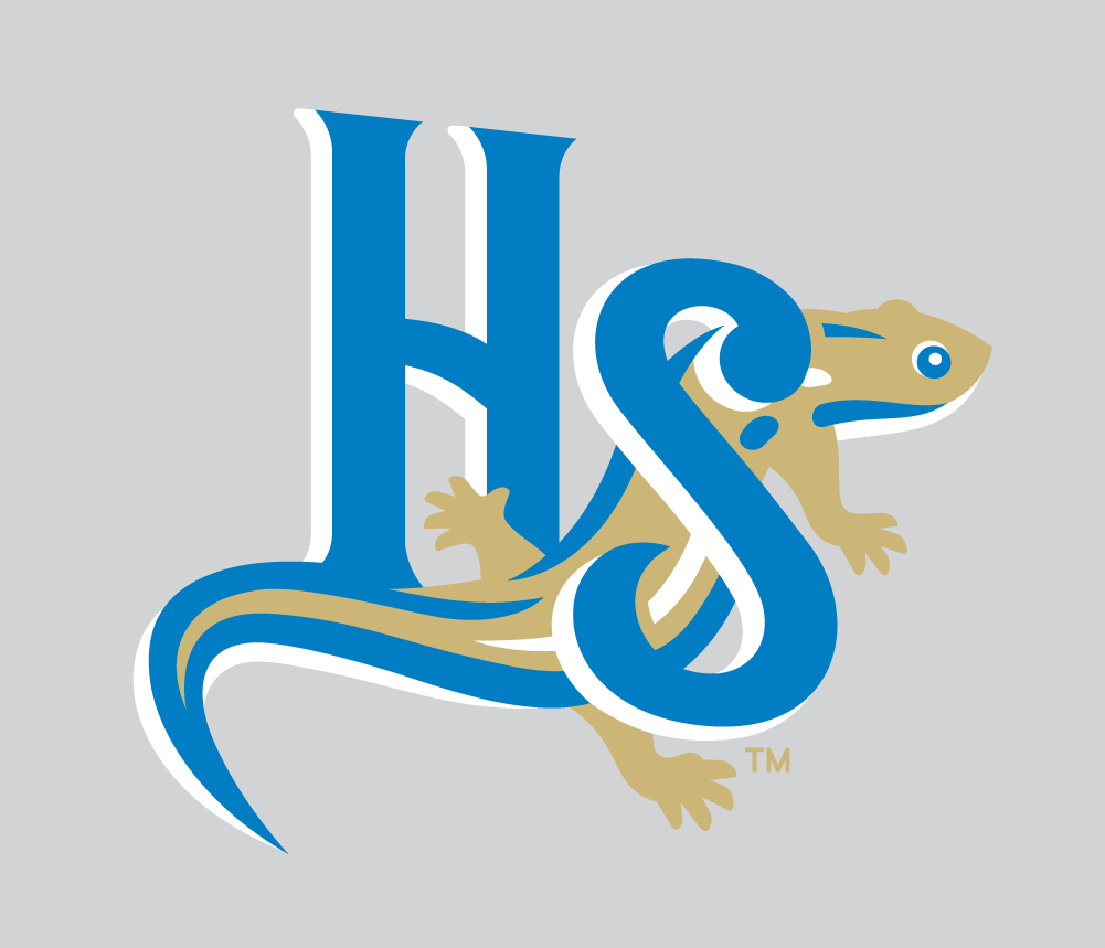Holly Springs Salamanders 2015-Pres Alternate Logo v4 iron on transfers for T-shirts